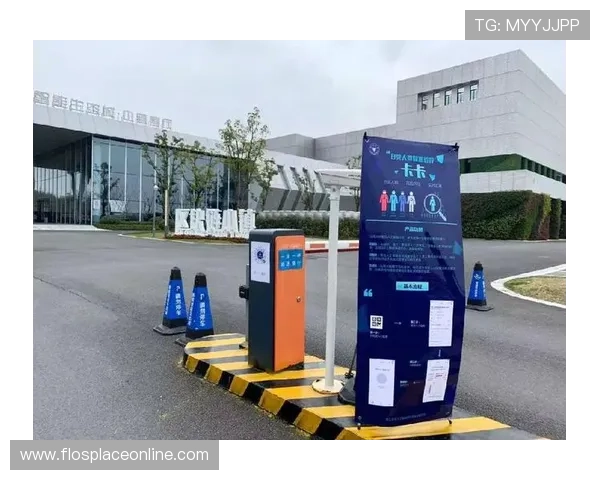 B体育app登录遇到问题怎么办？全面排查与解决方案助你轻松登录平台